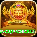2022 world cup cricket VIP v4.8.9