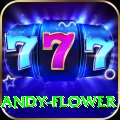 andy flower Pro Max v5.0.0