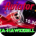antigua hawksbill Gold Pro v3.8.9