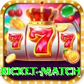 bangladesh cricket match Premium Edition v3.1.0