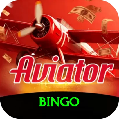 bingo Premium vv4.8.5 - 2