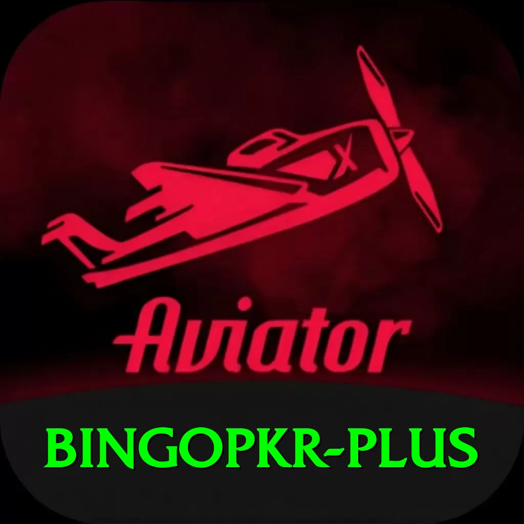 bingopkr Plus Pro v4.6.8 - 2
