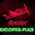 bingopkr Plus Pro v4.6.8