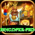 bingopkr - Extreme Earning App