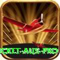 cricket aus Games Plus