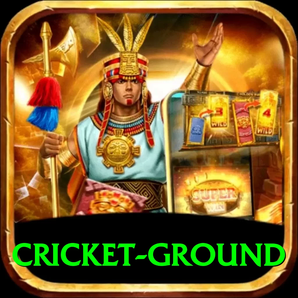 cricket ground Premium Edition v3.0.4 - 2