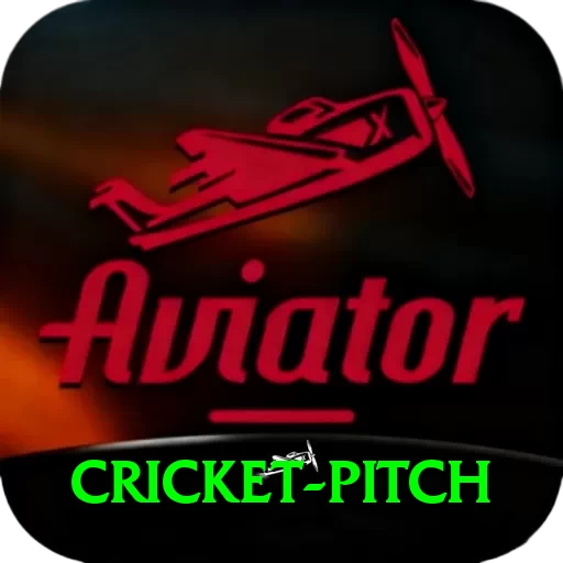 cricket pitch Pro Edition v1.2.9 - 2