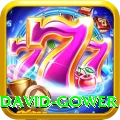 david gower Turbo Pro v1.5.4