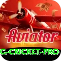 eng cricket Live Casino Mega