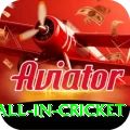 fastest ball in cricket Apps (Tools & Injectors) Premium v5.2.2