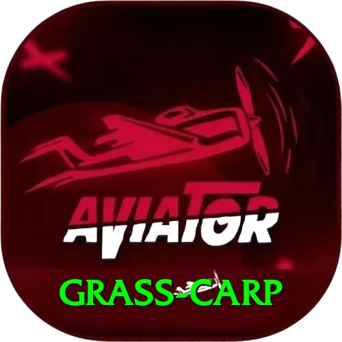 grass carp Gold Pro v2.3.3 - 2