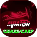 grass carp Gold Pro v2.3.3