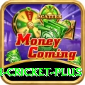 india bangladesh cricket Mega Slots