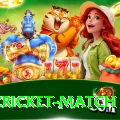 india cricket match Gold Pro v4.8.4