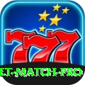 india cricket match Gaming Premium v1.5.1