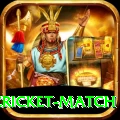 india pakistan cricket match Gold Pro v5.8.2