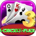 india pakistan cricket Game Prime v2.7.0