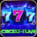 ireland cricket team Apps (Tools & Injectors) Plus v4.1.3