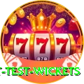 most test wickets Ultimate Pro v4.2.6