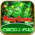 nepal cricket Max PK v5.6.1