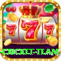 new zealand cricket team Deluxe v4.2.4
