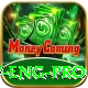 pak v eng - VIP Earning App