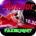 pakrummy Apps (Tools & Injectors) Premium v4.5.5