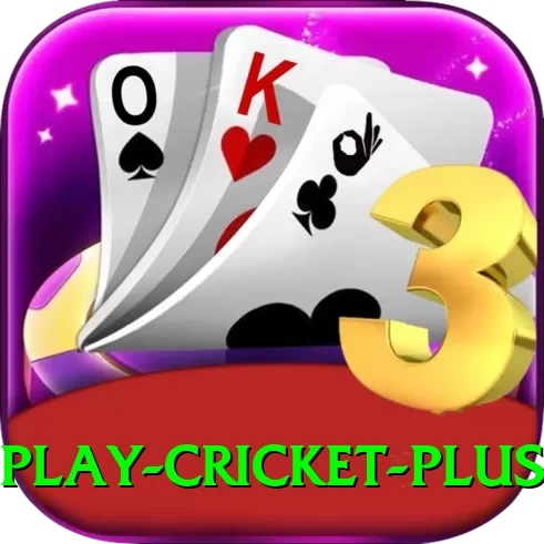 play cricket - Gaming Premium - 2