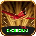 r cricket Premium Plus v3.9.8