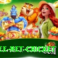 risk free bet cricket Games (Casino & Earning) Turbo v3.5.4