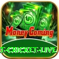 smart cricket live Pro Edition v3.0.5