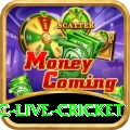 smartcric live cricket Pro v3.4.8