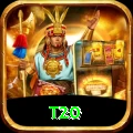 t20 Pro v4.7.6