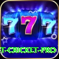 test cricket Prime - Daily Bonus