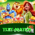 test match Turbo Pro v5.4.9