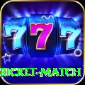 to day cricket match Premium Edition v1.1.2