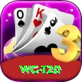 wc t20 Deluxe Pro v4.5.9