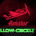 willow cricket Apps (Tools & Injectors) Premium v5.6.3